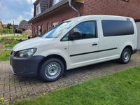 gebraucht VW Caddy Maxi 1,6 TDI Kasten, AHK, TÜV neu, auch Camping möglich