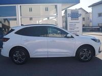 Neu Ford Kuga ST-Line 179 PS (131 kW) 2026 Frostweiss SUV