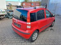 Gebraucht Fiat Panda Dynamic 69 PS (50 kW) 2011 Rot Kleinwagen