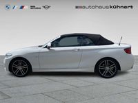 gebraucht BMW 220 i Cabrio ///M-Sport HiFi H-K ACC 1.Hand DAB