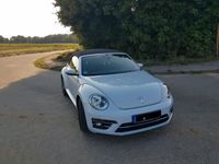 gebraucht VW Beetle 1.2 TSI BMT SOUND Cabriolet SOUND