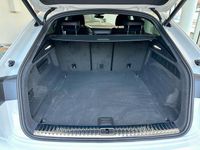 Neu Audi Q8 S-Line 286 PS (210 kW) 2025 Weiß SUV