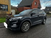 gebraucht Hyundai Tucson blue 1.6 GDi 2WD Intro Edition