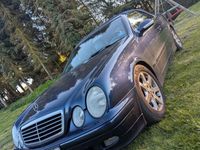 Gebraucht Mercedes CLK230 Elegance 197 PS (144 kW) 2000 Blau Coupé