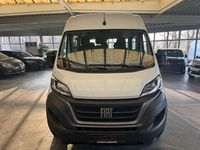 Gebraucht Fiat Ducato 2022 Van