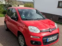 Gebraucht Fiat Panda Easy 69 PS (50 kW) 2017 Kleinwagen
