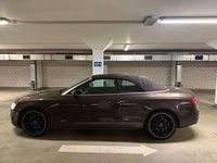 Gebraucht Audi A5 Cabriolet S-Line 239 PS (175 kW) 2011 Teakbraun metallic Cabrio