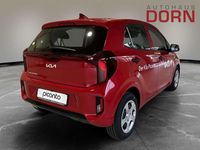 Neu Kia Picanto Edition 7 63 PS (46 kW) 2026 Rot Kleinwagen