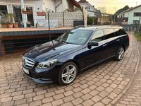 Gebraucht Mercedes E350 Avantgarde 252 PS (185 kW) 2014 Blau Kombi