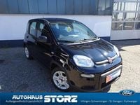 Gebraucht Fiat Panda 69 PS (50 kW) 2024 Colore esterno (cinema schwarz Kleinwagen
