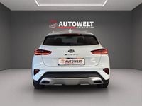 Gebraucht Kia XCeed Xdition 160 PS (117 kW) 2021 Weiß SUV