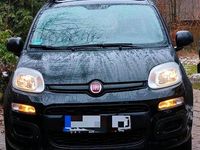 Gebraucht Fiat Panda Easy 69 PS (50 kW) 2018 Schwarz Kleinwagen