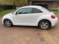 Gebraucht VW Beetle Design 105 PS (77 kW) 2012 Weiß Kleinwagen