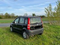 gebraucht Fiat Panda 1.2 Liter Benzin