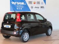 Gebraucht Fiat Panda Easy 69 PS (50 kW) 2020 Cinema schwarz Limousine