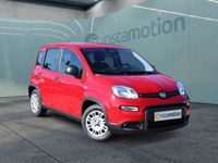 Gebraucht Fiat Panda 69 PS (50 kW) 2024 Rot Kleinwagen