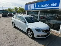 Gebraucht Skoda Octavia Style 116 PS (85 kW) 2019 Andere Kombi