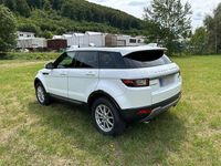 Gebraucht Land Rover Range Rover 150 PS (110 kW) 2016 Weiß SUV