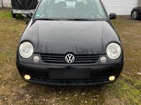 Gebraucht VW Lupo 45 PS (33 kW) 2005 Kleinwagen