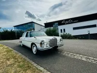 Gebraucht Mercedes W108 200 PS (147 kW) 1971 Weiß Limousine