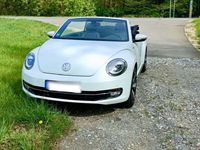 gebraucht VW Beetle NewAllstar Automatik