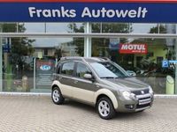 Gebraucht Fiat Panda 4x4 Cross 75 PS (55 kW) 2011 Grün metallic Kleinwagen