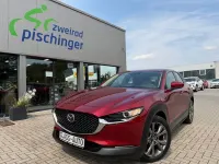 Gebraucht Mazda CX-30 Selection 179 PS (131 kW) 2020 Rot SUV