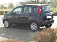 gebraucht Fiat Panda Panda1.2 Easy