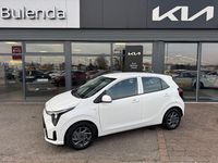 Neu Kia Picanto Vision 68 PS (50 kW) 2025 Weiß Kleinwagen