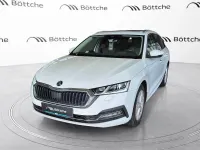 Gebraucht Skoda Octavia Style 116 PS (85 kW) 2023 Moonweiss metallic Kombi
