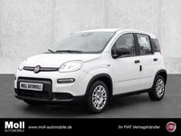 Neu Fiat Panda 69 PS (50 kW) 2025 Gelato weiß Limousine