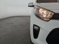 Gebraucht Kia Picanto Vision 84 PS (61 kW) 2023 Weiß Kleinwagen