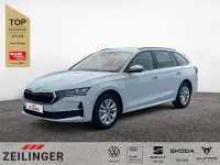 Gebraucht Skoda Octavia Selection 150 PS (110 kW) 2026 Kombi