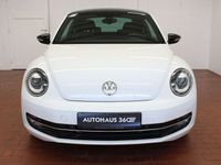 gebraucht VW Beetle LED Tempomat PDC Beschreibung lesen