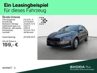 Gebraucht Skoda Octavia Essence 116 PS (85 kW) 2025 Graphitegrau metallic Kombi