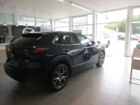 Gebraucht Mazda CX-30 Selection 179 PS (131 kW) 2020 Blau SUV