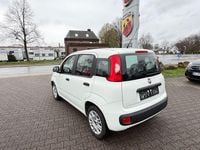 Gebraucht Fiat Panda Easy 69 PS (50 kW) 2019 Weiß Kleinwagen