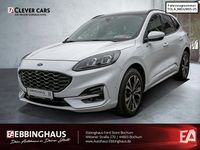 Gebraucht Ford Kuga ST-Line X 224 PS (164 kW) 2022 Weiß SUV