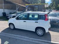 Neu Fiat Panda 69 PS (50 kW) 2025 Weiß Limousine