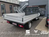 Neu Ford Transit Trend 131 PS (96 kW) 2026 Weiß