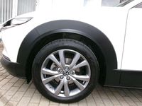Gebraucht Mazda CX-30 Selection 122 PS (89 kW) 2023 Arctic white SUV
