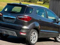 Gebraucht Ford Ecosport Titanium 125 PS (91 kW) 2021 Grau SUV
