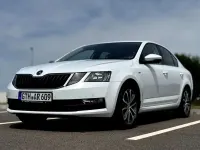 Gebraucht Skoda Octavia Drive 116 PS (85 kW) 2017 Weiß Limousine