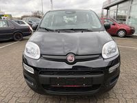Neu Fiat Panda 69 PS (50 kW) 2025 Cinema schwarz Kleinwagen