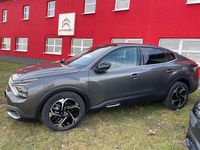 Neu Citroën C4 131 PS (96 kW) 2025 Platiniumgrau Limousine