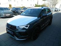 Neu Cupra Ateca 150 PS (110 kW) 2026 Dark forest grün SUV