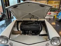 Gebraucht Amphicar 770 1967 Weiß Cabrio