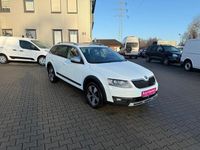 Gebraucht Skoda Octavia Scout 4x4 150 PS (110 kW) 2015 Weiß Kleinwagen