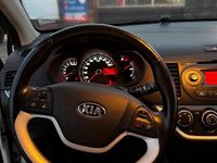 Gebraucht Kia Picanto 69 PS (50 kW) 2014 Weiß Kleinwagen