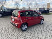 Neu Fiat Panda 69 PS (50 kW) 2025 Rot Kleinwagen